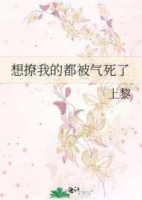 想撩我的都被气死了