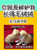 你就是嫉妒我长得毛绒绒
