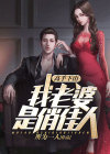 高手下山:我老婆是俏佳人