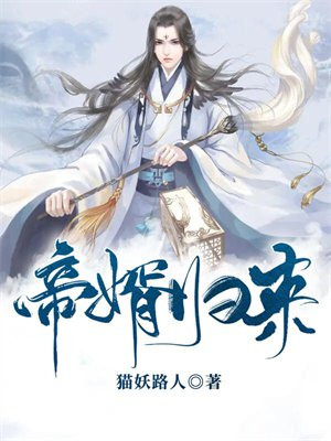 帝婿归来