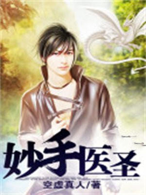 妙手医圣