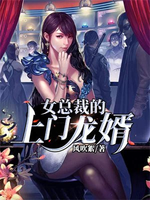 女总裁的上门龙婿龙隐全文免费