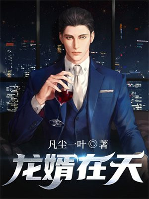 龙婿在天