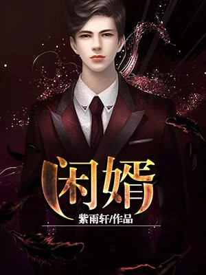 闲婿