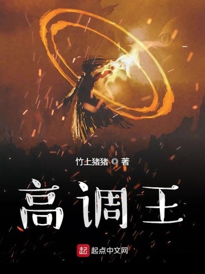 高调王百度百科