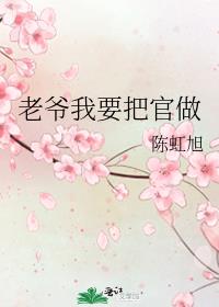 老爷我要把官做