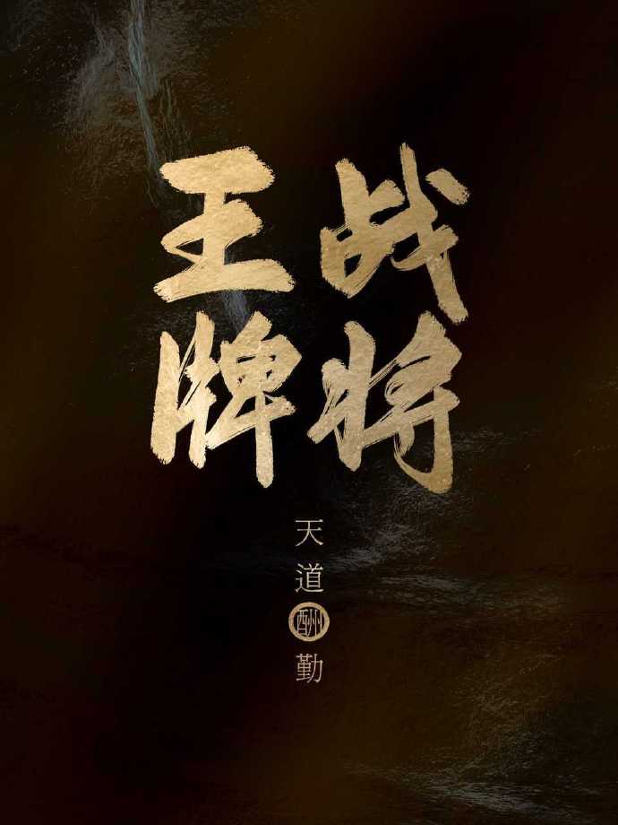 王牌战将电影下载