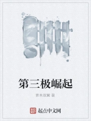 第三极崛起
