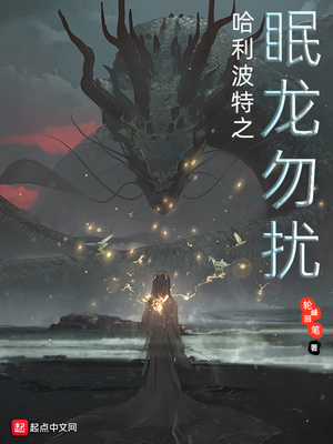 哈利波特之眠龙勿扰 小说