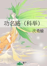 功名路(科举)作者:沈桑榆下载