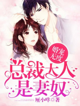 婚宠无度:总裁大人是妻奴