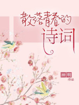 散落青春的诗词小说免费阅读