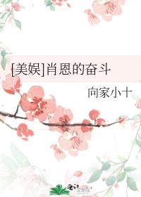 美娱肖恩的奋斗史