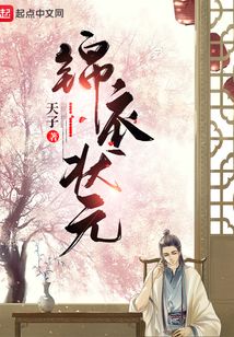 锦衣状元