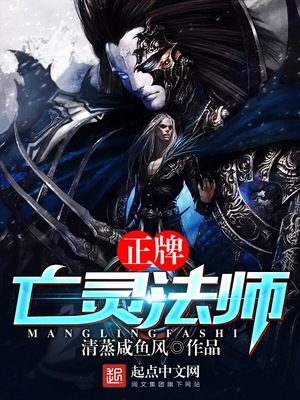 正牌亡灵法师好看吗