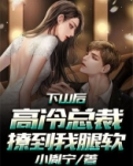 下山后，高冷总裁撩到我腿软