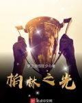 柏林之光