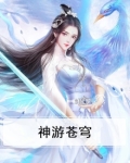 神游苍穹