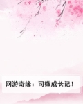 网游奇缘:司微成长记!