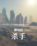 黑与白：杀手