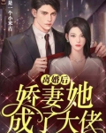 离婚后娇妻她成了大佬