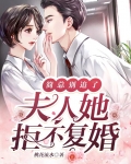简总别追了,夫人她拒不复婚