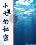 小七的秘密