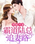 替嫁冷妻:霸道陆总追妻路