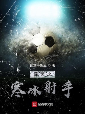 绿茵之寒冰射手小说