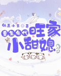 重生年代旺家小甜媳