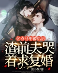 亿点马甲被扒后,渣前夫哭着求复婚
