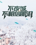 不夜城不相信眼泪