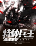都市之特种兵王