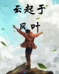 云起于风叶