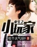 重生之小玩家