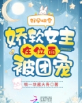 好孕快穿：娇软女主在位面被团宠
