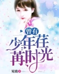 曾有少年荏苒时光