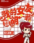 爱情公寓:我的女友胡一菲