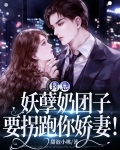 封总,妖孽奶团子要拐跑你娇妻!